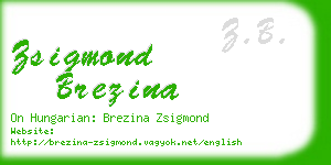 zsigmond brezina business card